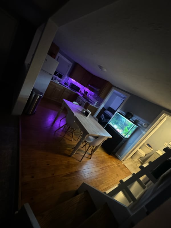 11 Nash Pl in Norwalk, CT - Building Photo - Building Photo