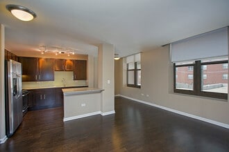 The Shelby in Chicago, IL - Building Photo - Building Photo