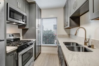 917 5th St in Santa Monica in Santa Monica, CA - Building Photo - Building Photo