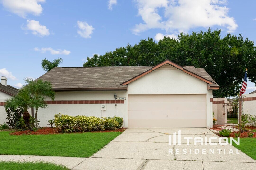 6918 Silvermill Dr in Tampa, FL - Foto de edificio