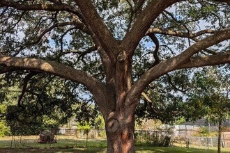 6033 NW 33 St in Gainesville, FL - Building Photo - Building Photo
