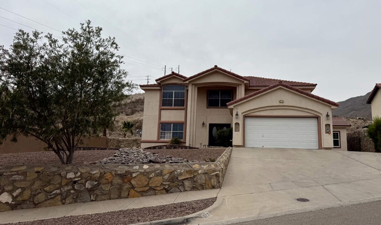 317 Zenith Dr in El Paso, TX - Building Photo