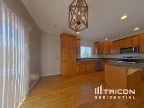 8403 Briar Trace Dr in Castle Pines, CO - Building Photo - Building Photo