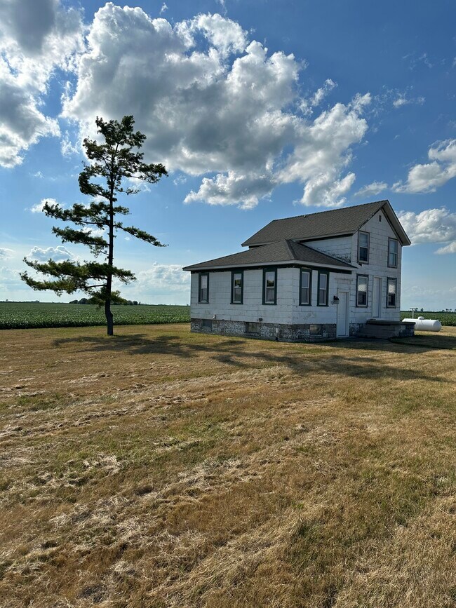 450 E 2500 North Rd in Ashkum, IL - Building Photo - Building Photo