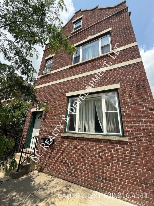 1512 W 17th St in Chicago, IL - Building Photo