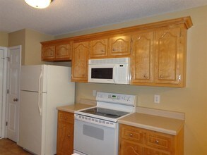 3823 Angelise Ln in Clarksville, TN - Building Photo - Building Photo