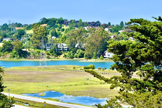 189 Morning Sun Ave in Mill Valley, CA - Building Photo - Building Photo