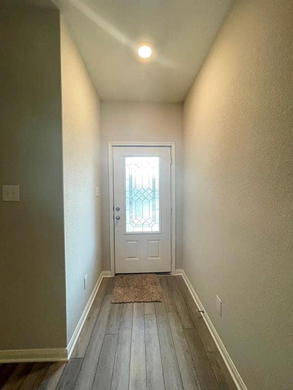 228 Star Spangled Dr in Liberty Hill, TX - Foto de edificio - Building Photo