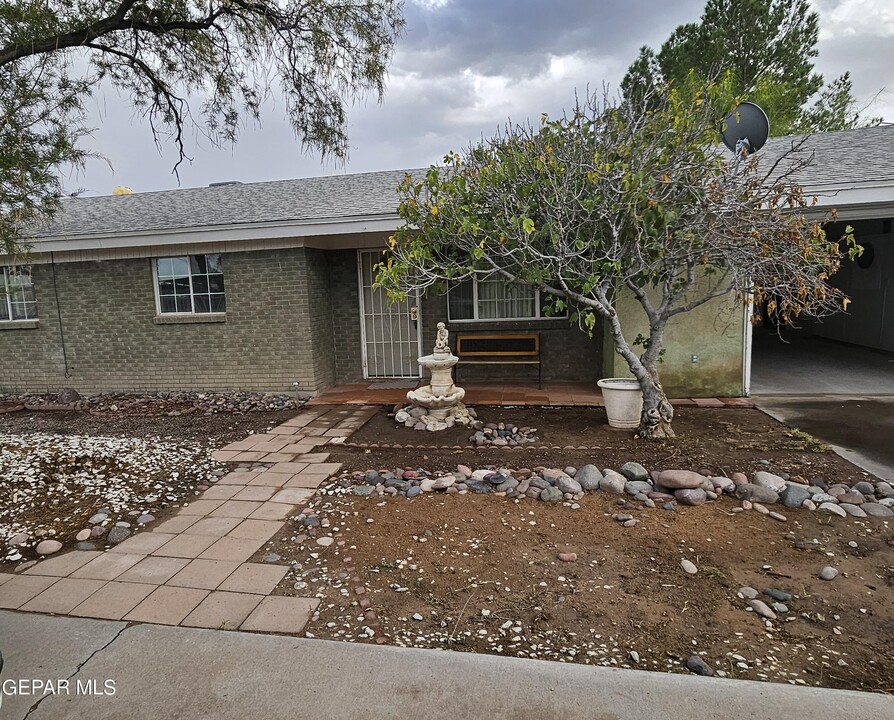 12629 Camino De La Rosa Rd in San Elizario, TX - Building Photo