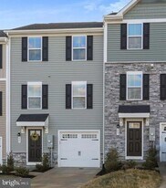 405 Williams St in Strasburg, VA - Building Photo