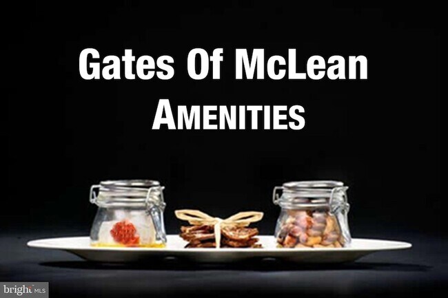 1591 Spring Gate Dr., Unit 3406 in McLean, VA - Building Photo - Building Photo