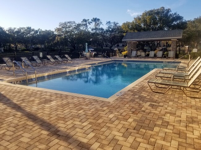 3314 Haviland Ct in Palm Harbor, FL - Foto de edificio - Building Photo