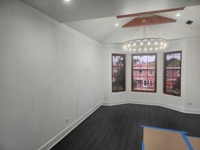 243 W Swann St in Chicago, IL - Building Photo - Building Photo