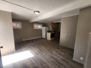 1042 N Clarkson St in Denver, CO - Building Photo - Building Photo