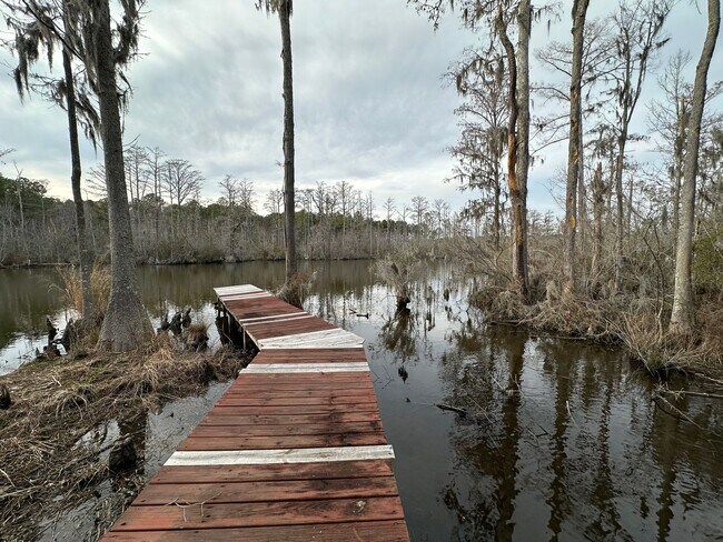 308 See View Ln in Hertford, NC - Building Photo - Building Photo