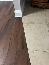 2569 Grassy Point Dr in Lake Mary, FL - Building Photo - Building Photo