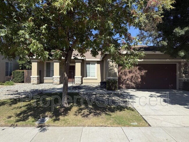 333 Catmint St in Manteca, CA - Building Photo - Building Photo