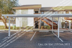 719 SW 47th Terrace in Cape Coral, FL - Building Photo