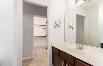 1150 W Seagull Dr in Chandler, AZ - Foto de edificio - Building Photo