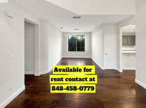 51 Village Square Pl in Pleasant Hill, CA - Building Photo - Building Photo