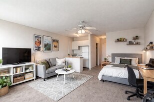 Stadium Village Apartments in Minneapolis, MN - Building Photo