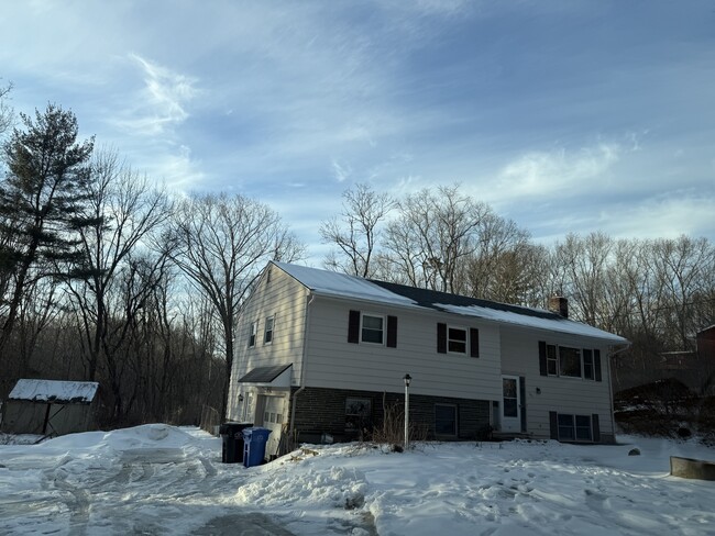 160 Birch Rd in Storrs Mansfield, CT - Building Photo - Building Photo