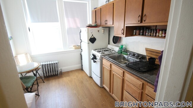 1687 Commonwealth Ave in Boston, MA - Building Photo - Building Photo