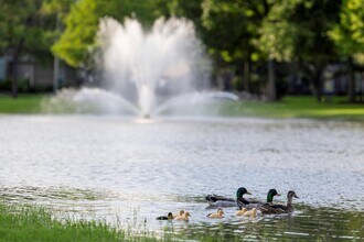 1015 Longdraw Dr in Katy, TX - Building Photo - Building Photo