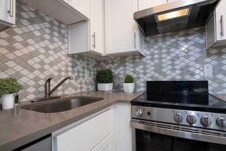 Flamingo Apartments in Tacoma, WA - Building Photo - Building Photo