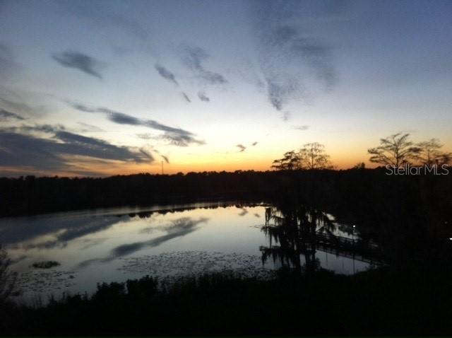 3428 Soho St in Orlando, FL - Building Photo