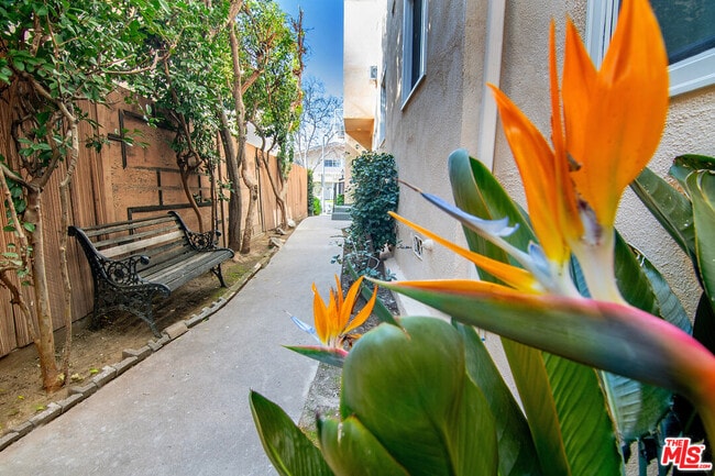 344 Rexford Dr in Beverly Hills, CA - Building Photo - Building Photo