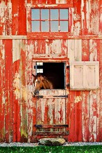 135 Richardson Rd in Lyndeborough, NH - Building Photo - Building Photo