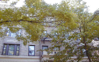 214 Prospect Pl Apartamentos