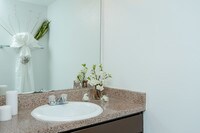 Falls on Antoine photo'