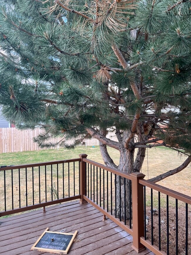 128 Donna Ave in Bozeman, MT - Foto de edificio - Building Photo