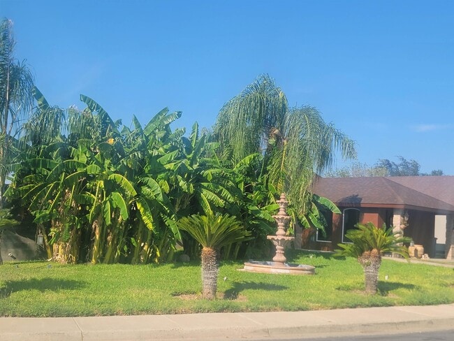 702 Zebra Dr in Laredo, TX - Building Photo - Building Photo