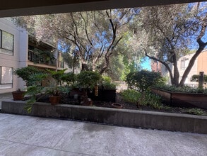 350 N Civic Dr, Unit 206 in Walnut Creek, CA - Foto de edificio - Building Photo