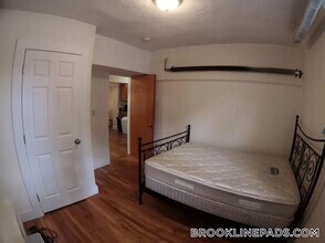 241 Freeman St in Brookline, MA - Foto de edificio - Building Photo