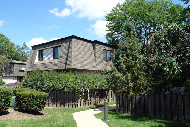 Cobblestone Court Condominiums in Palatine, IL - Building Photo - Building Photo