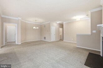 44025 Vaira Terrace in Chantilly, VA - Building Photo - Building Photo