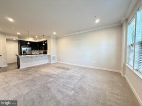 14516 Mattawoman Dr in Brandywine, MD - Building Photo - Building Photo