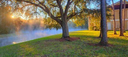9481 Highland Oak Dr, Unit 511 in Tampa, FL - Foto de edificio - Building Photo