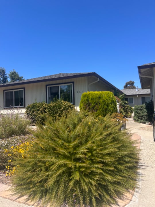 2031 Willester Ave in San Jose, CA - Building Photo