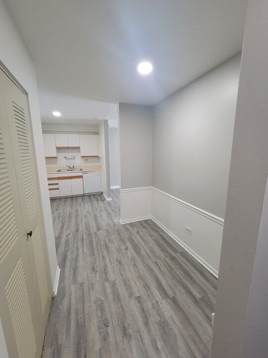 4905 Belmont Rd in Downers Grove, IL - Building Photo