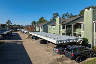 Waterman Crossing Condominiums in Houston, TX - Building Photo - Building Photo