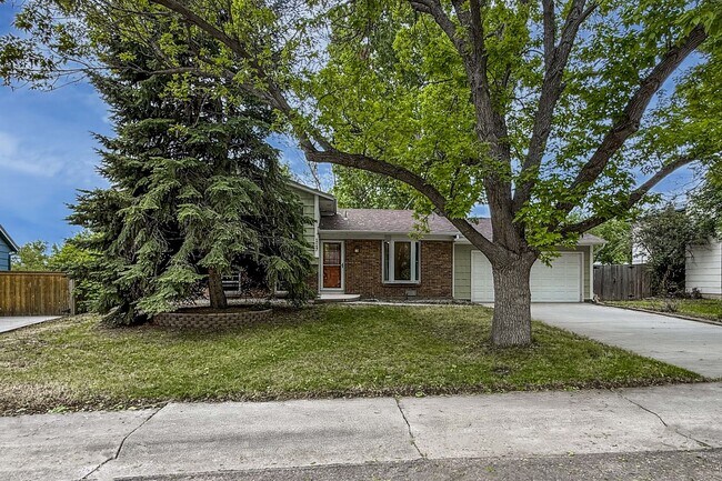 117 Sandler Dr in Lafayette, CO - Building Photo - Building Photo