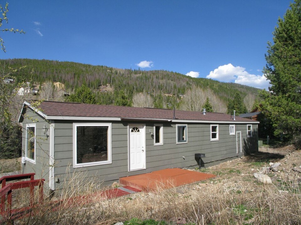 2 Magnum Bonum Dr in Breckenridge, CO - Building Photo