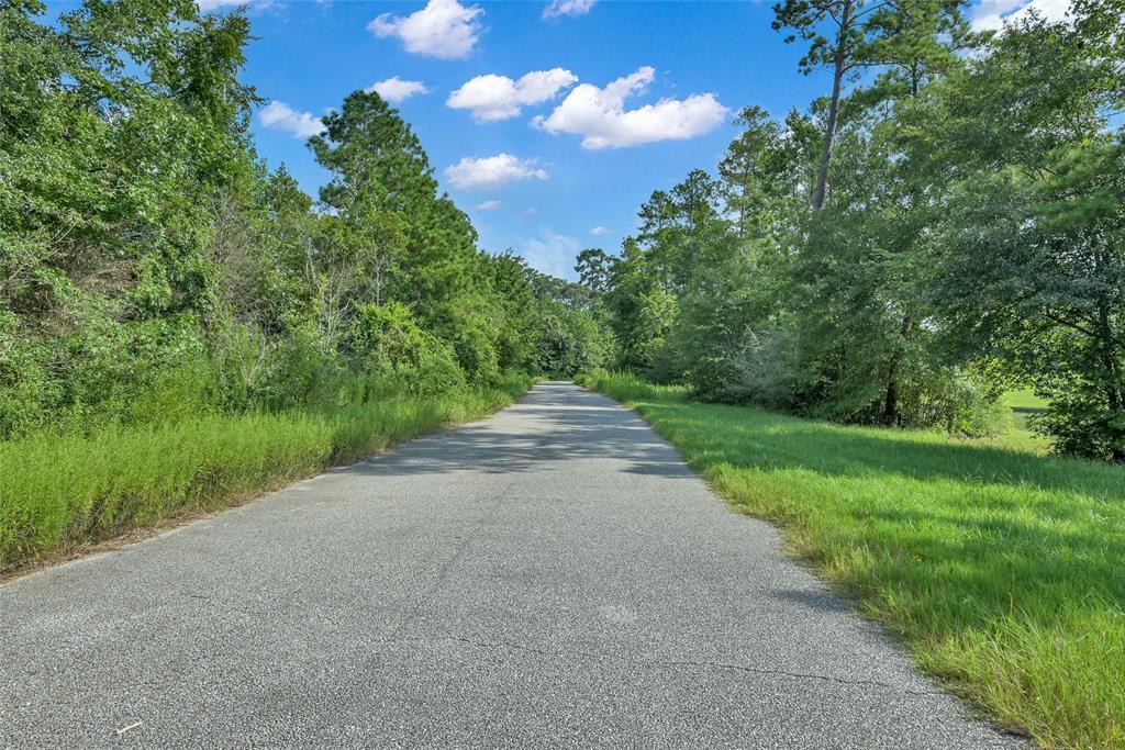 116 Ashe Juniper Wy in Magnolia, TX - Building Photo