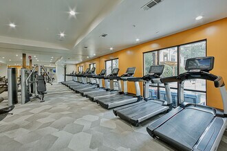 Broadstone Toscano in Houston, TX - Building Photo - Building Photo