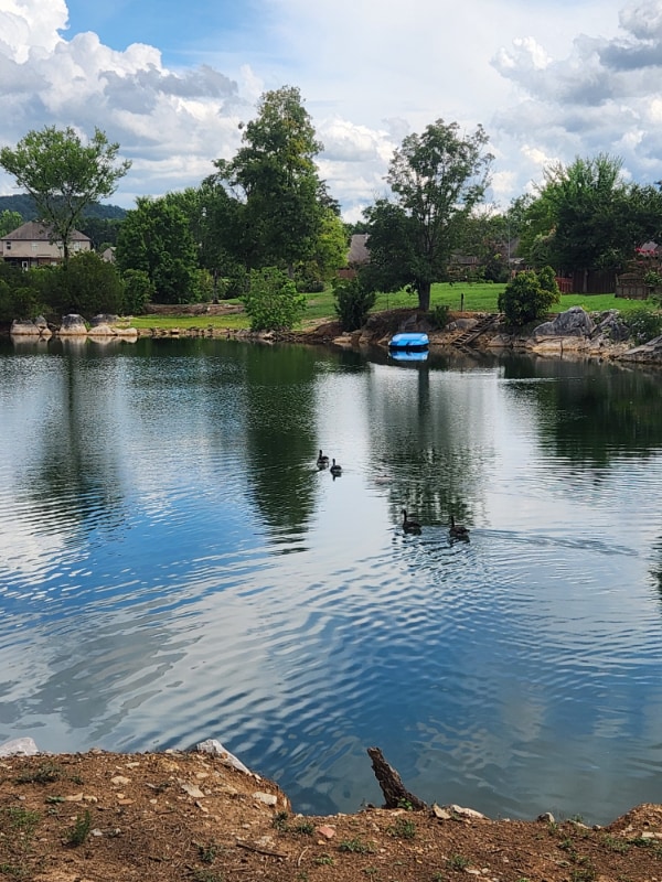 property at 342 Creekside Ln